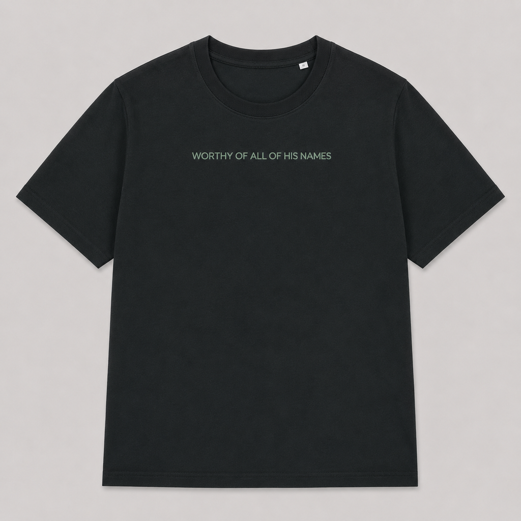 Worthy to be Praised  -  Womens TShirt