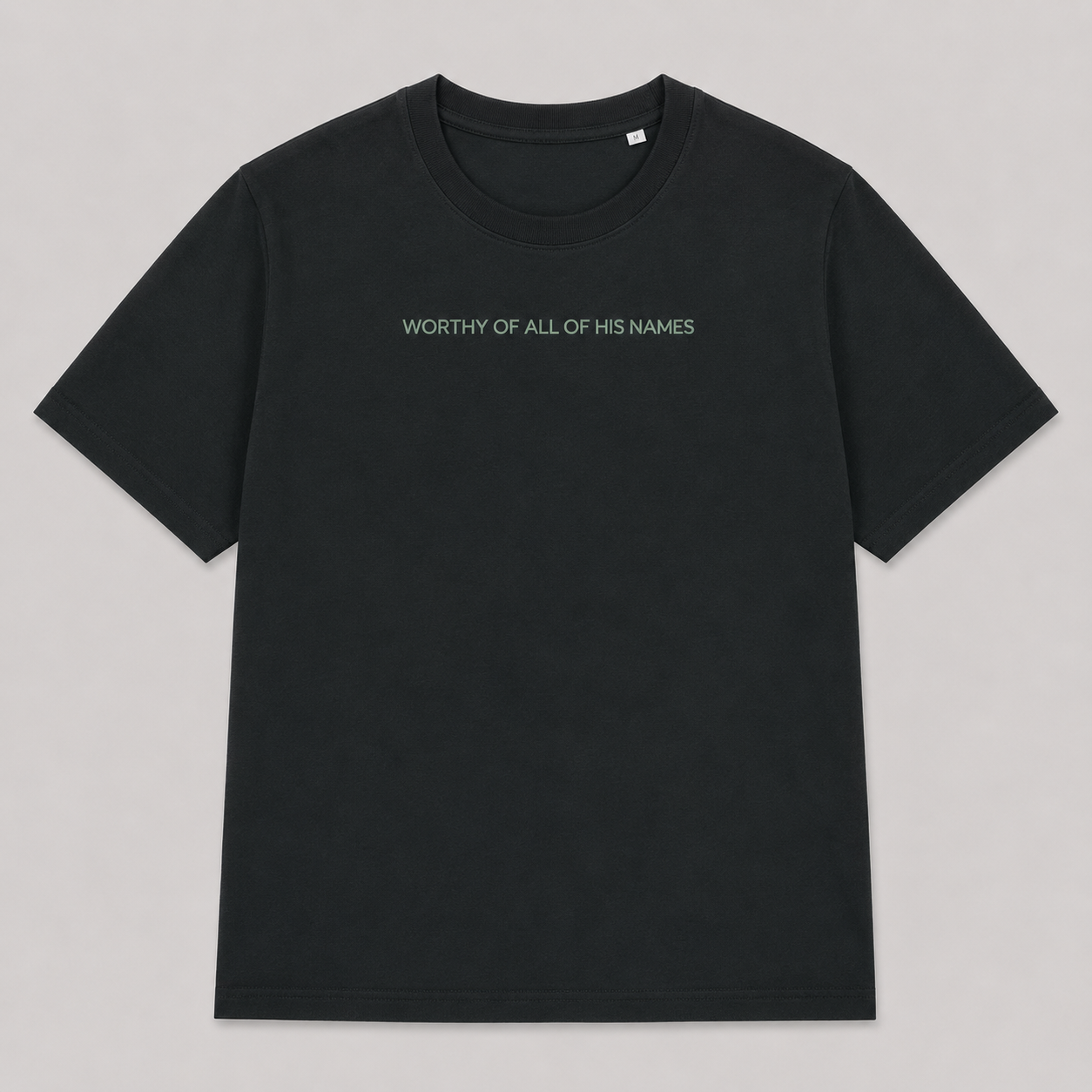 Worthy to be Praised  -  Womens TShirt